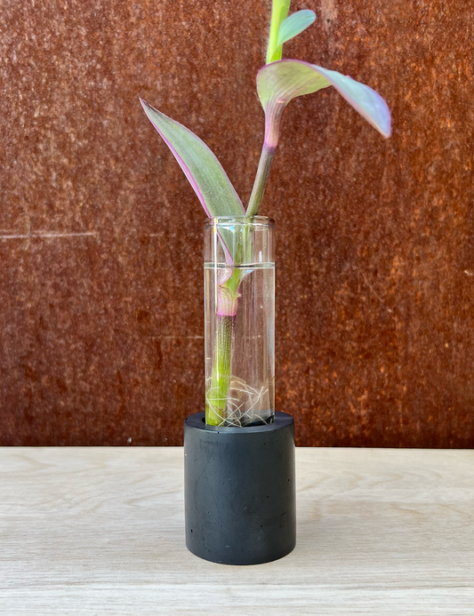 Earth Tone Cylinder Propagation Station