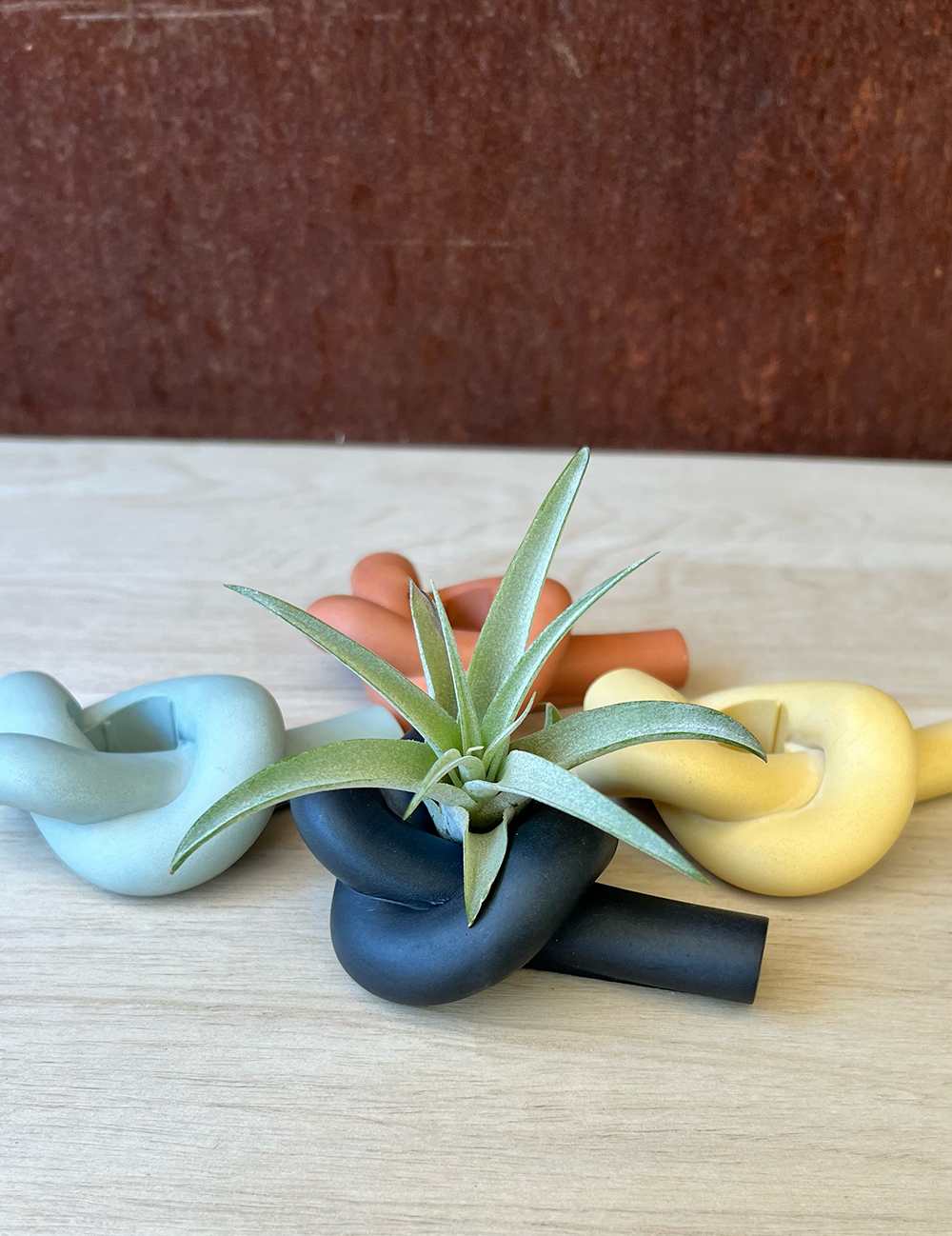 Earth Tone Knot Candle Holder / Air Plant Holder