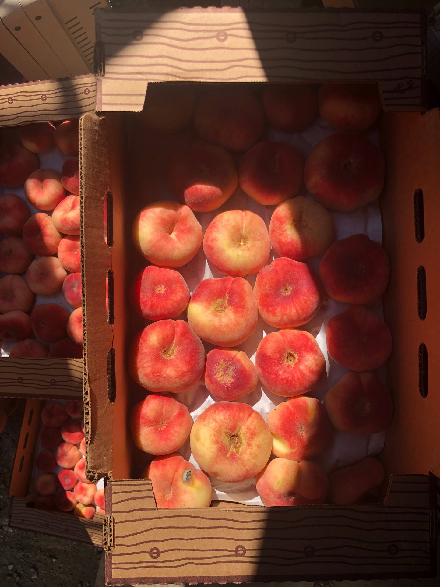 Donut Peach with Lime Spoon Preserves 7.75oz