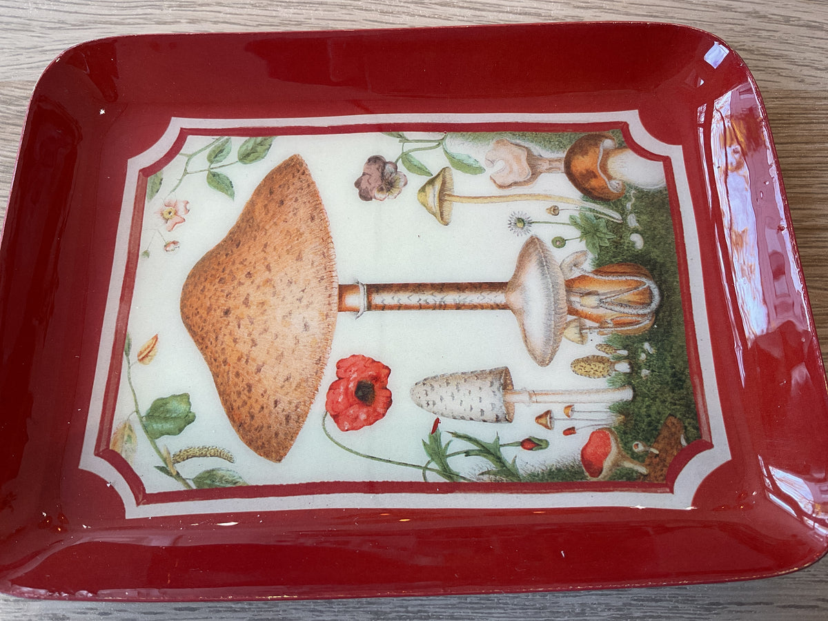 Enamel Tray