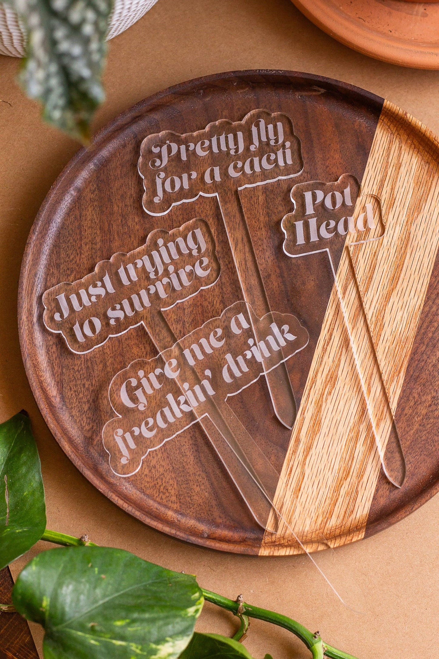 Funny Acrylic Plant Markers