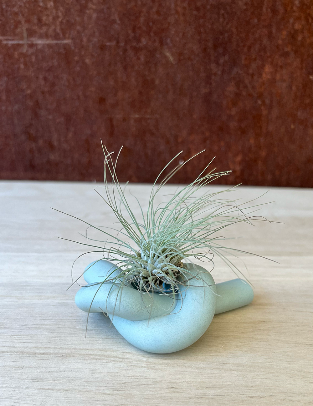 Earth Tone Knot Candle Holder / Air Plant Holder