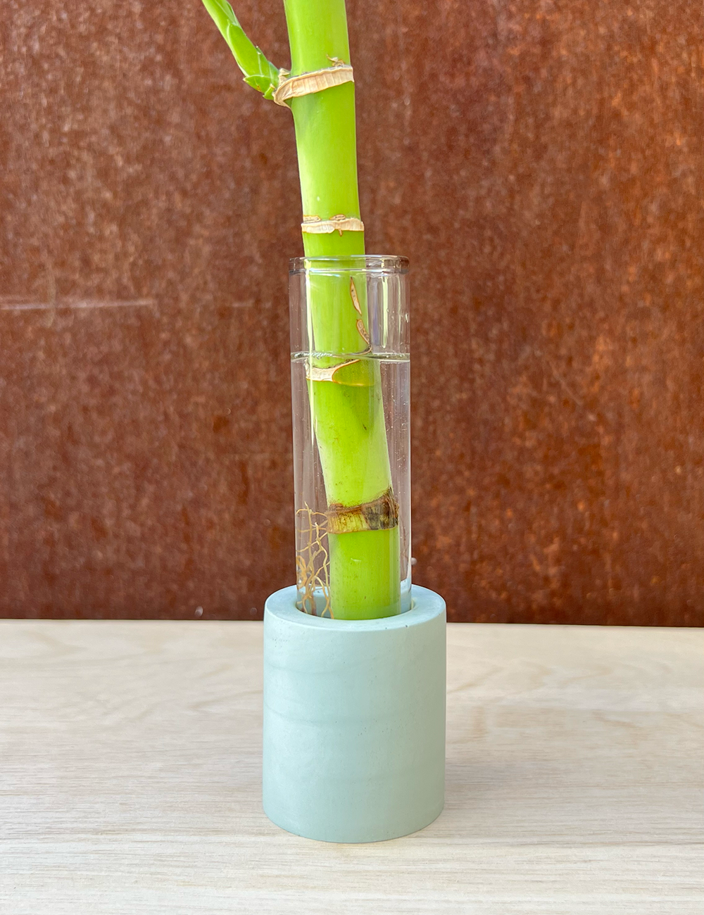 Earth Tone Cylinder Propagation Station