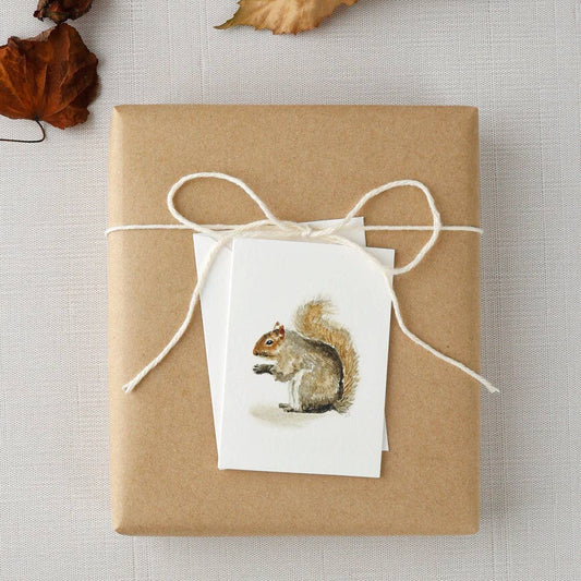 Squirrel mini notecard