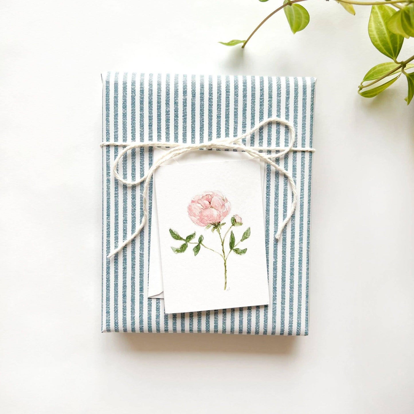 Garden rose stem mini enclosure notecard