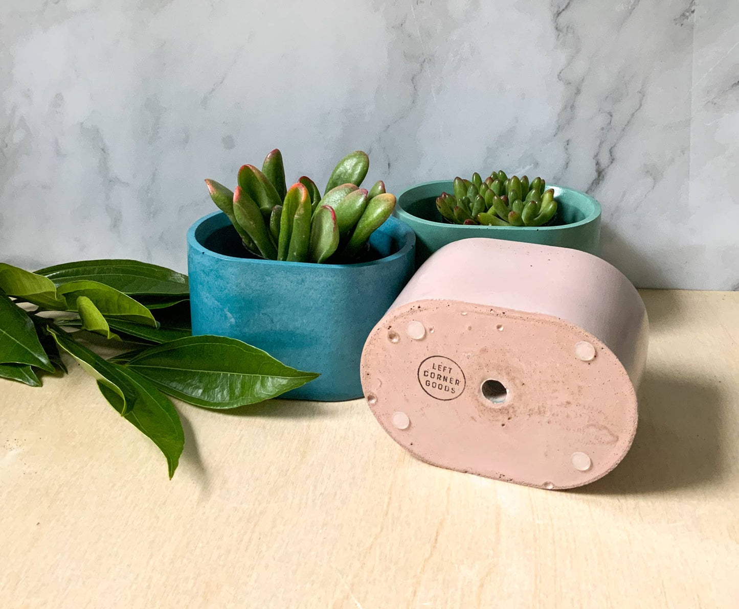 Succulent Oval Concrete Planter