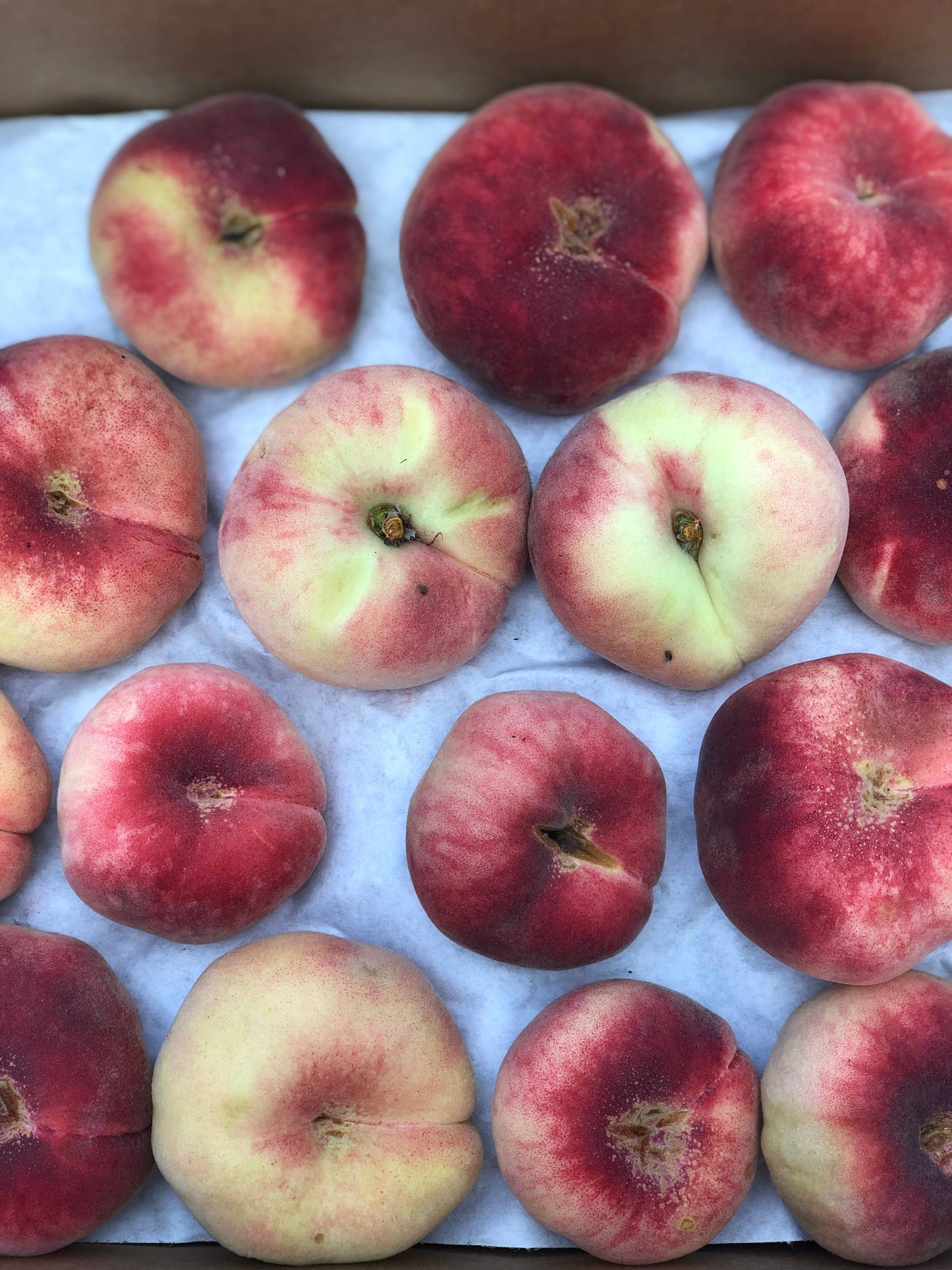 Donut Peach with Lime Spoon Preserves 7.75oz