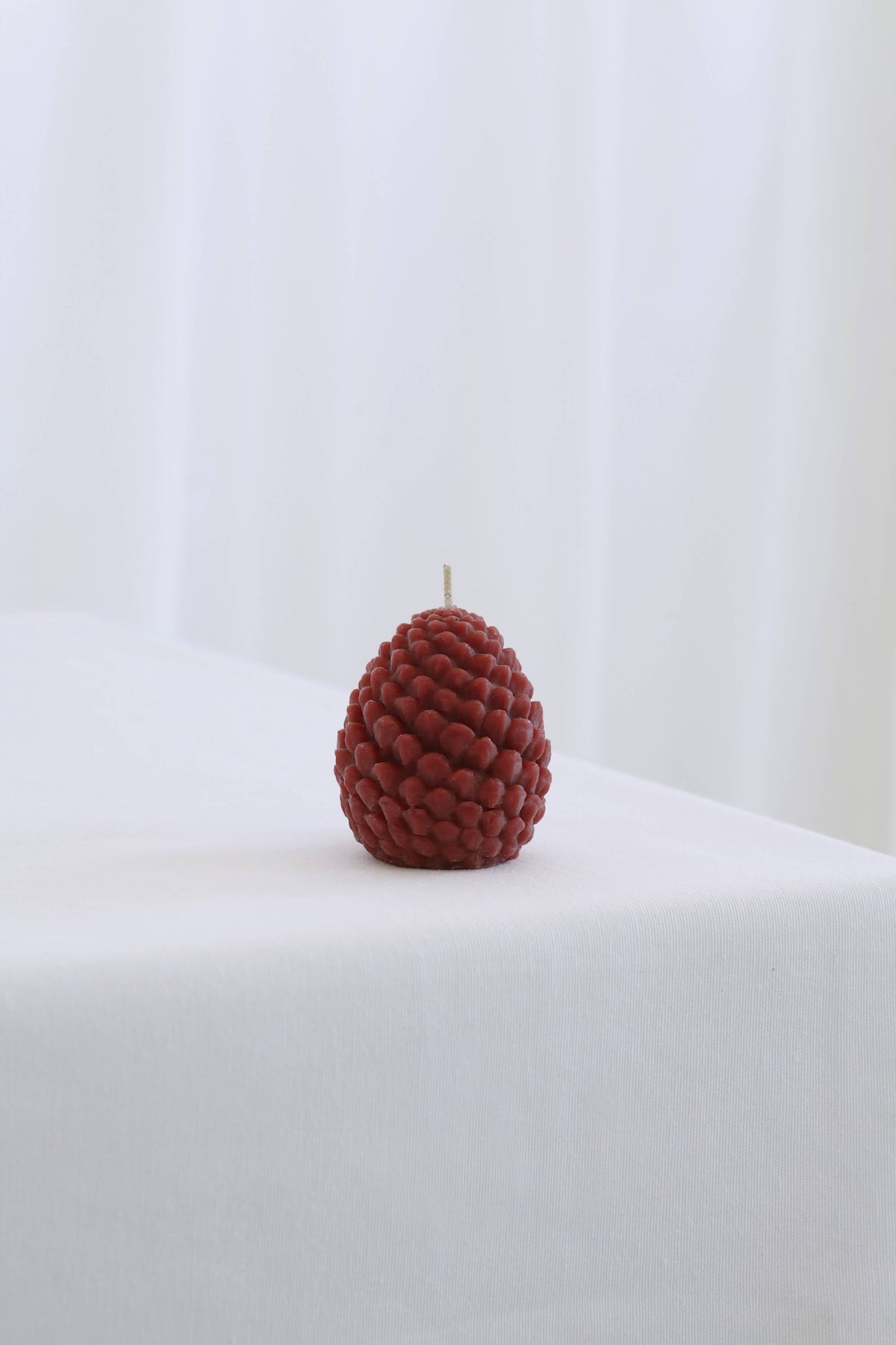 Mo&Co Home Exclusive: Sculpted Beeswax Pine Cones | 2 Sizes