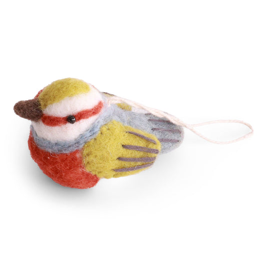 Silver Eye Bird