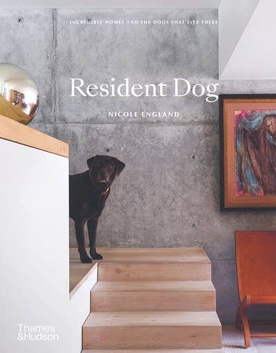 Resident Dog (compact)