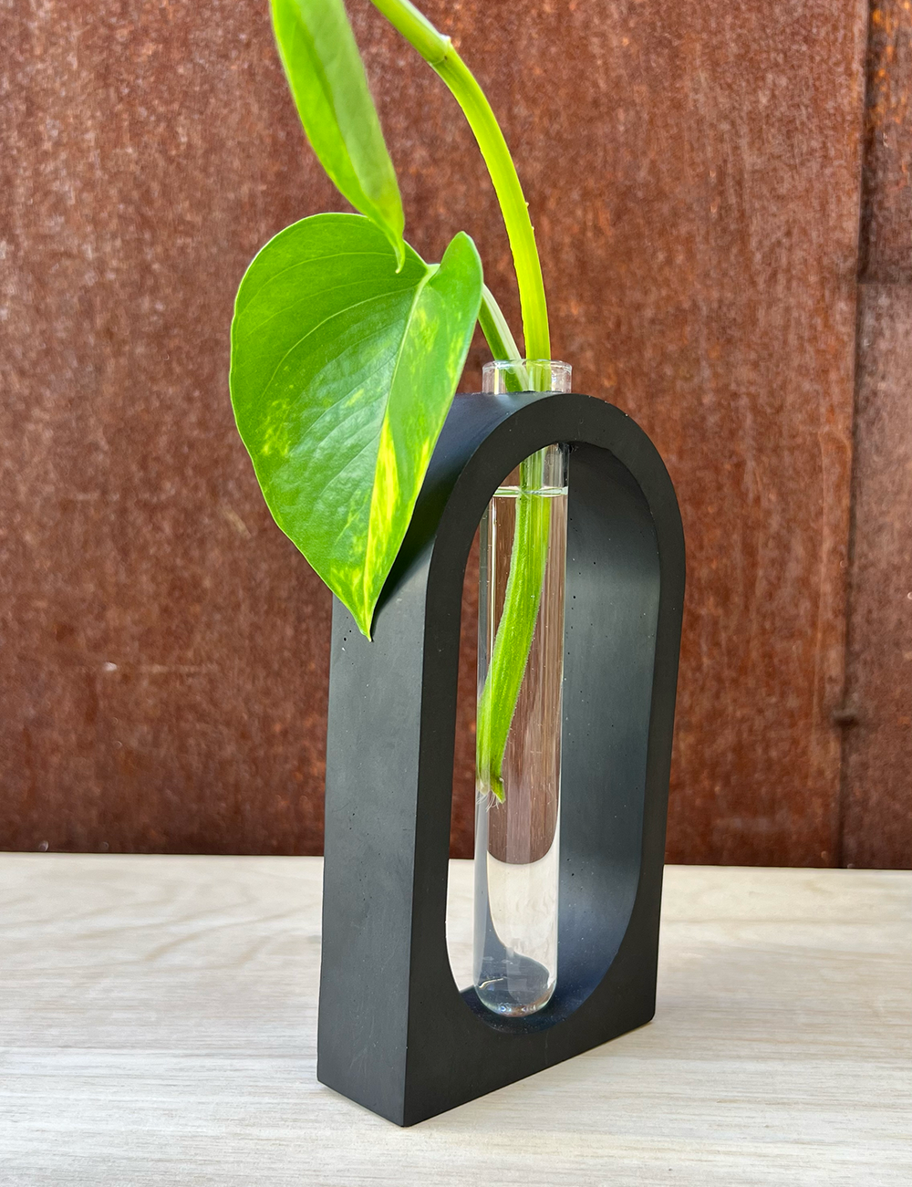 Earth Tone Arch Propagation Station