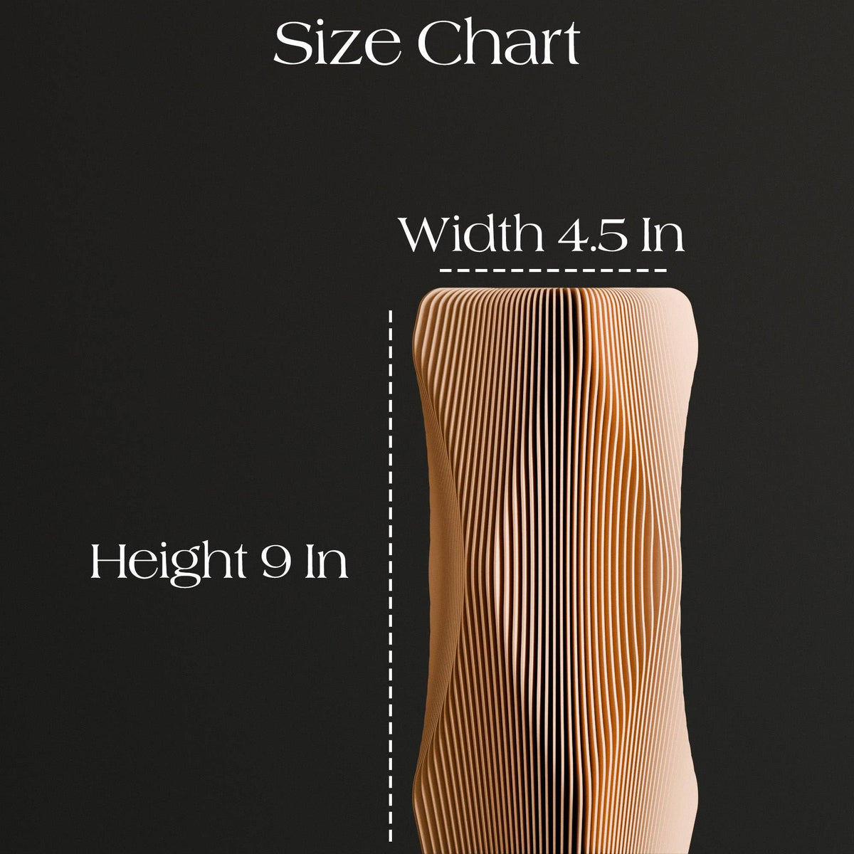 Premium Decorative Vase | Xenova Collection