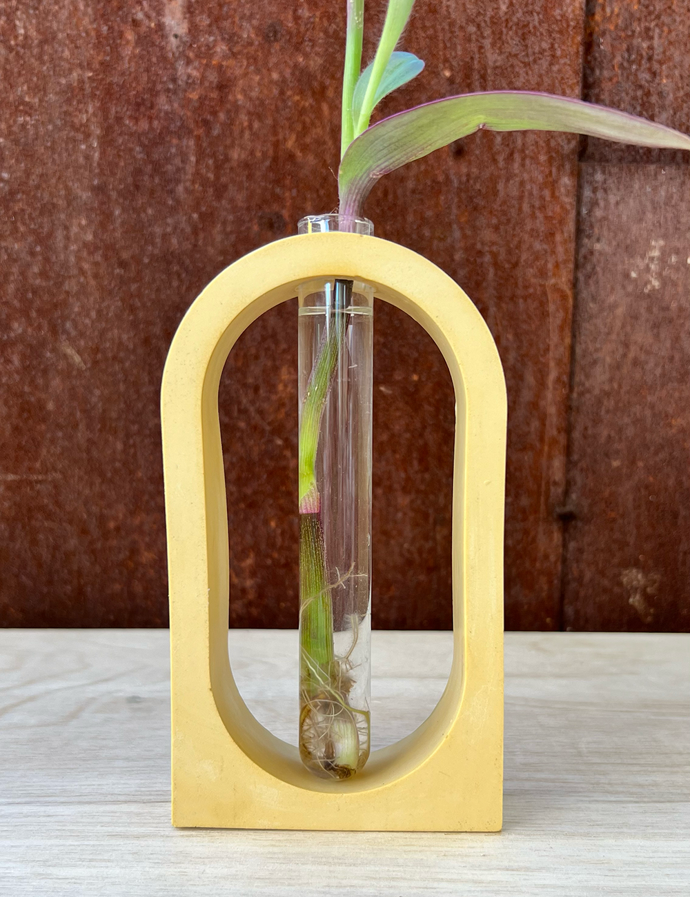 Earth Tone Arch Propagation Station