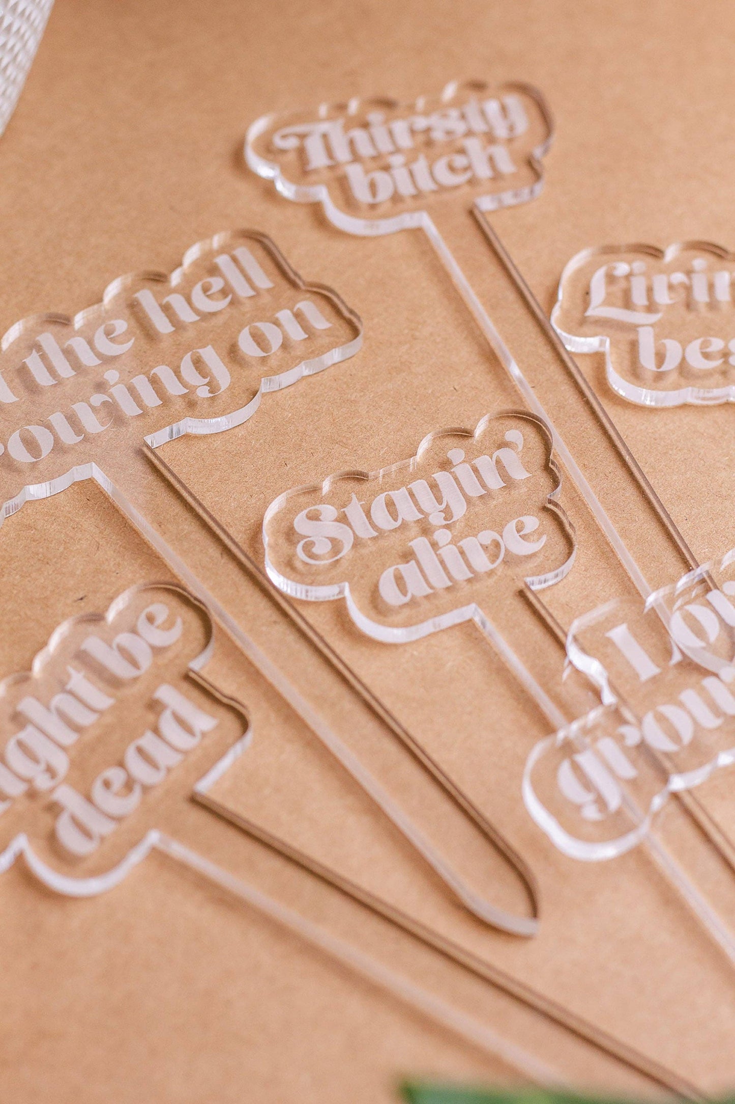 Funny Acrylic Plant Markers