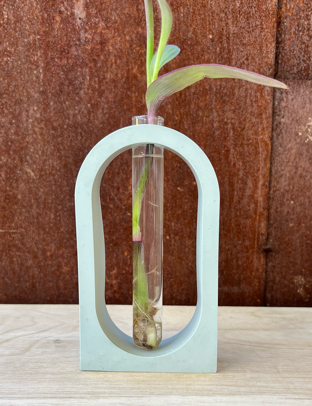 Earth Tone Arch Propagation Station