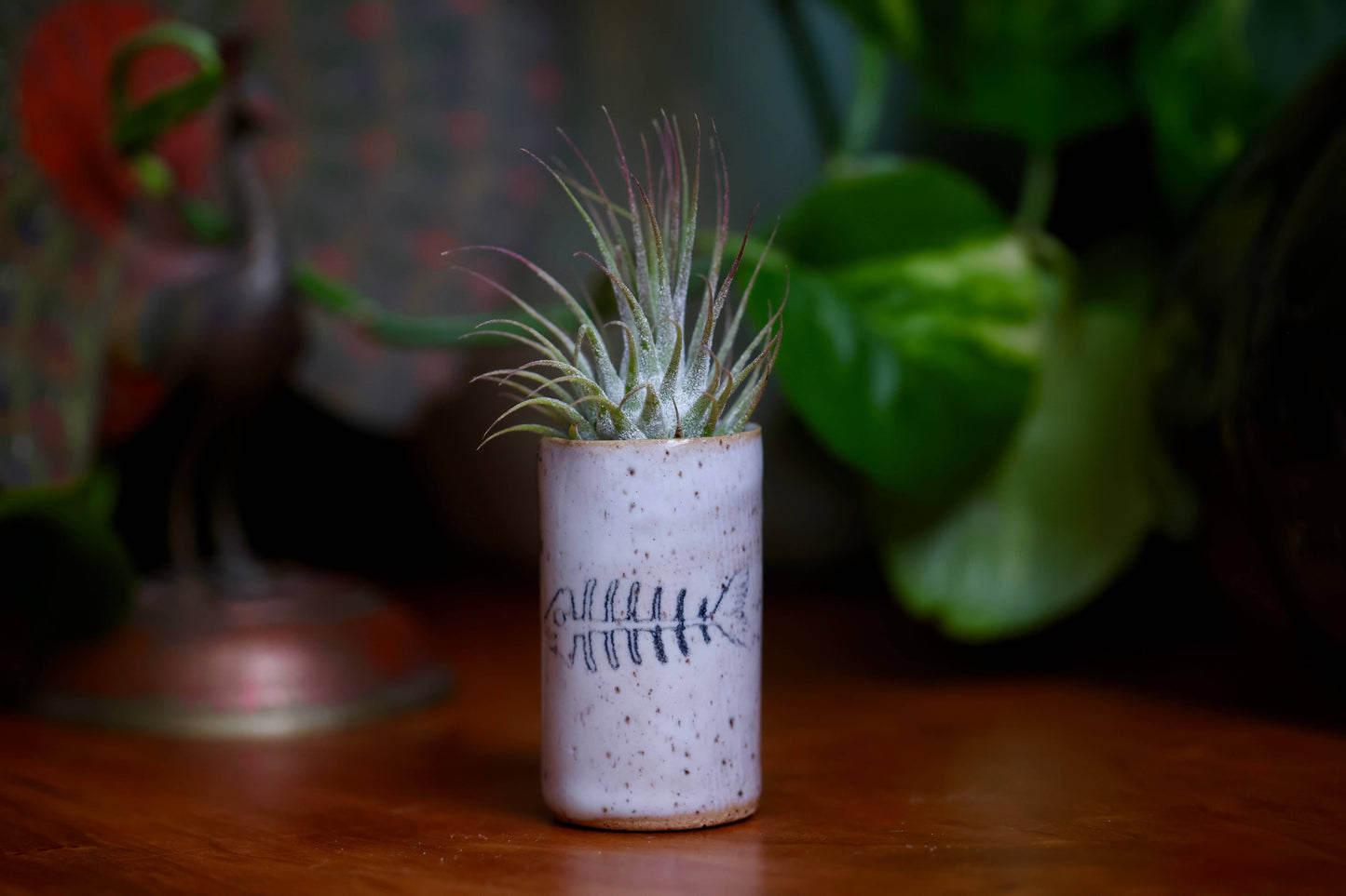 Tiny Tumblers - Bike
