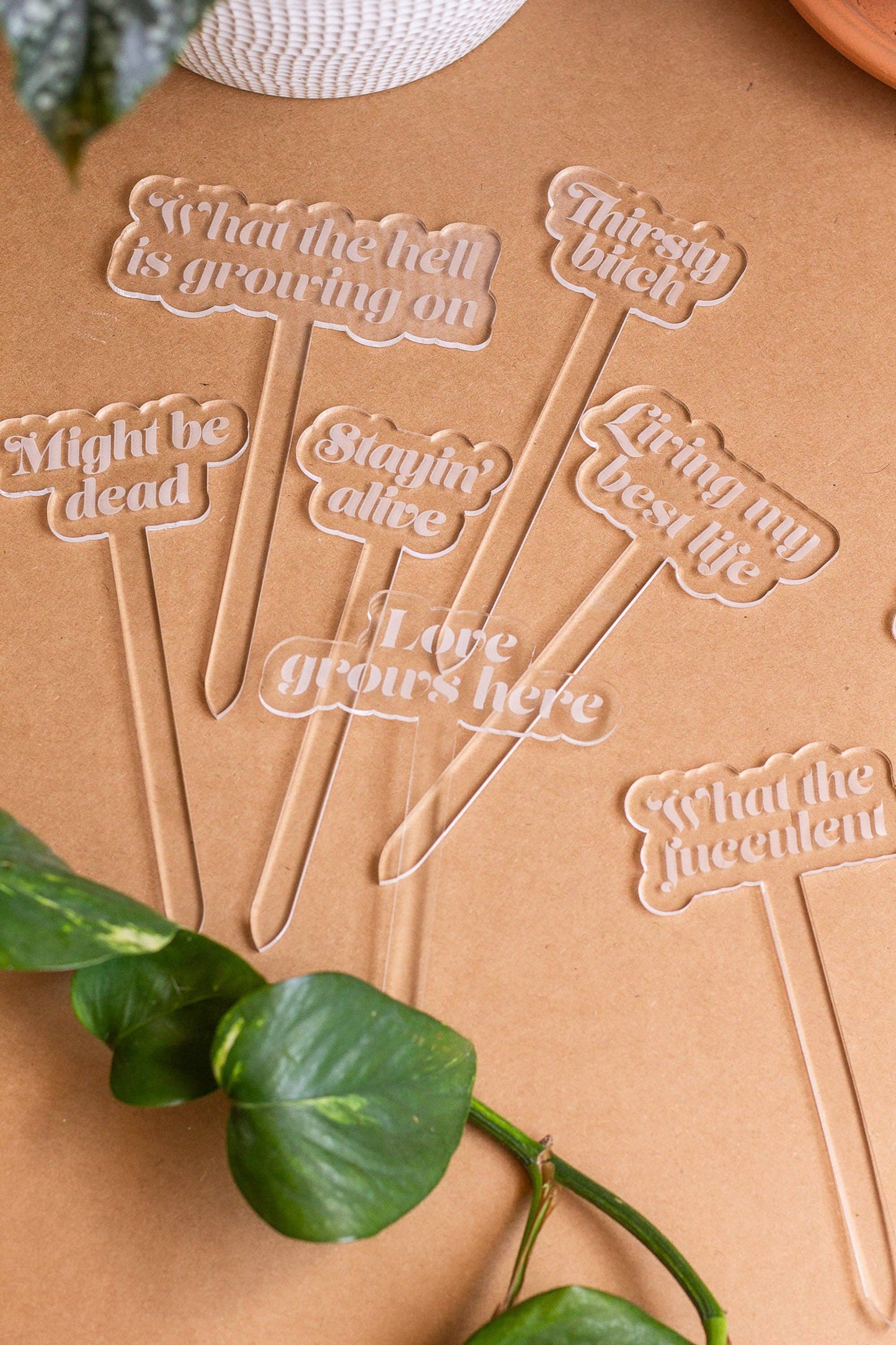 Funny Acrylic Plant Markers