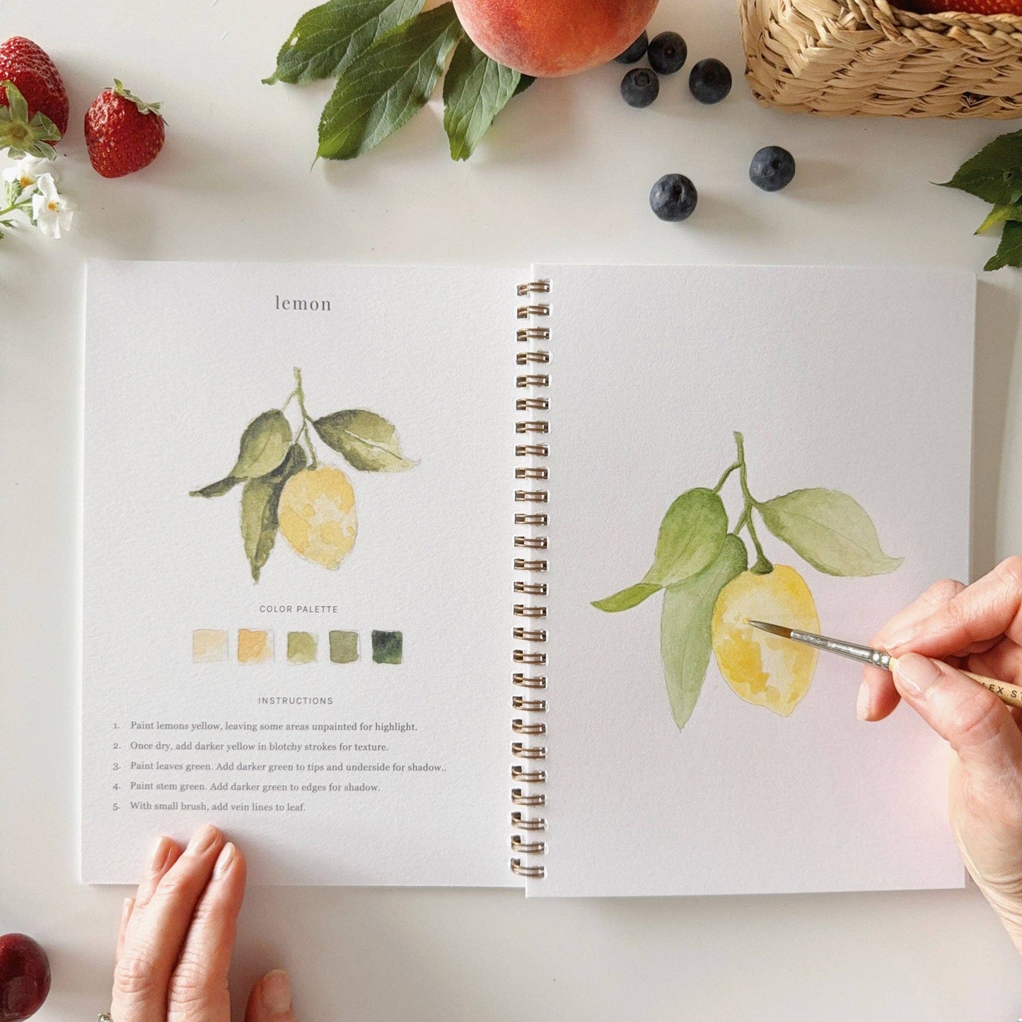 Fruit watercolor workbook