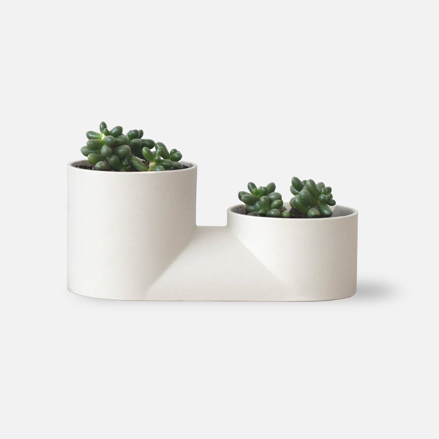 Double Planter