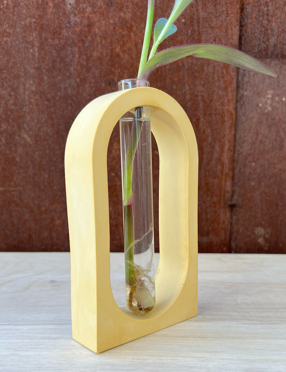 Earth Tone Arch Propagation Station