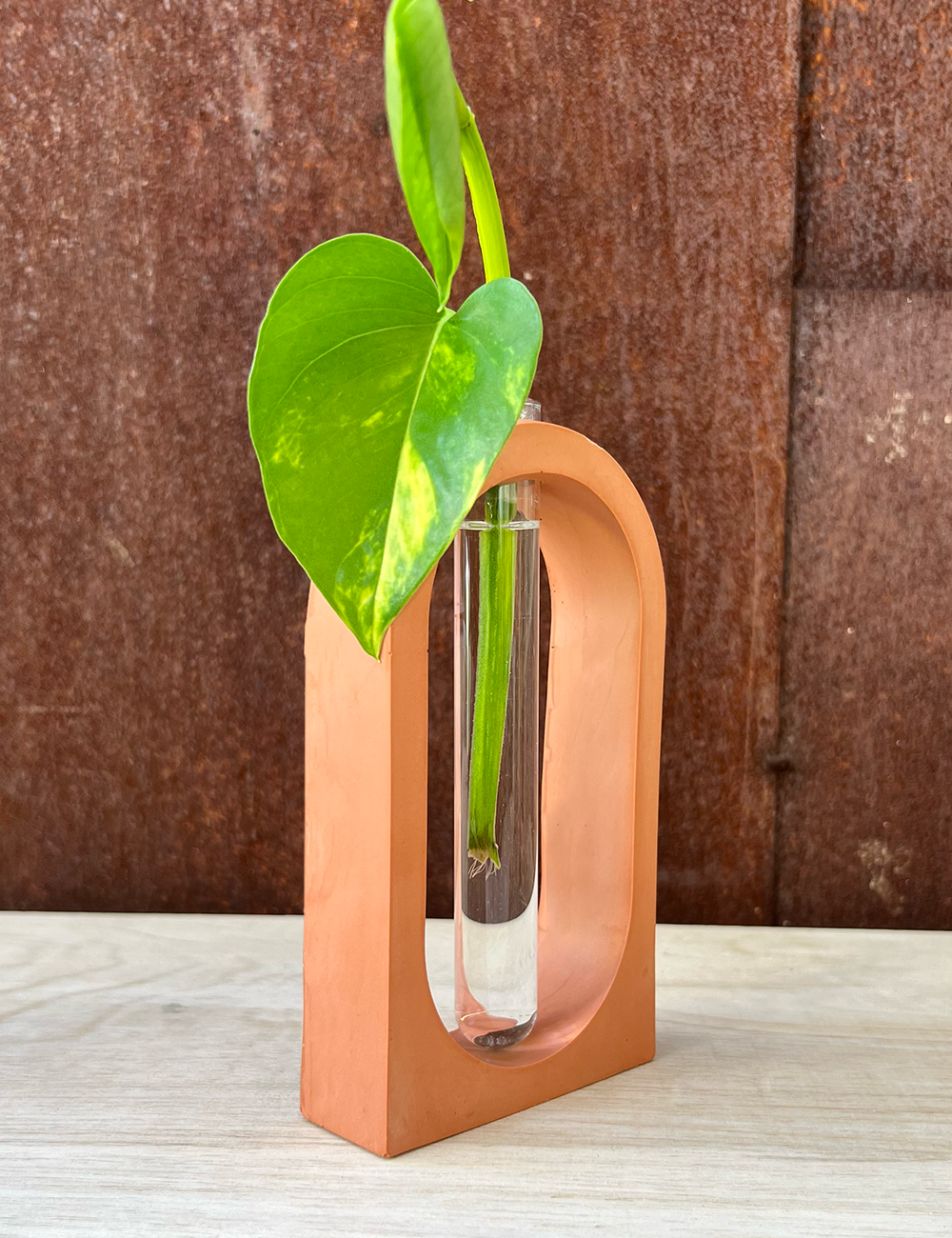 Earth Tone Arch Propagation Station