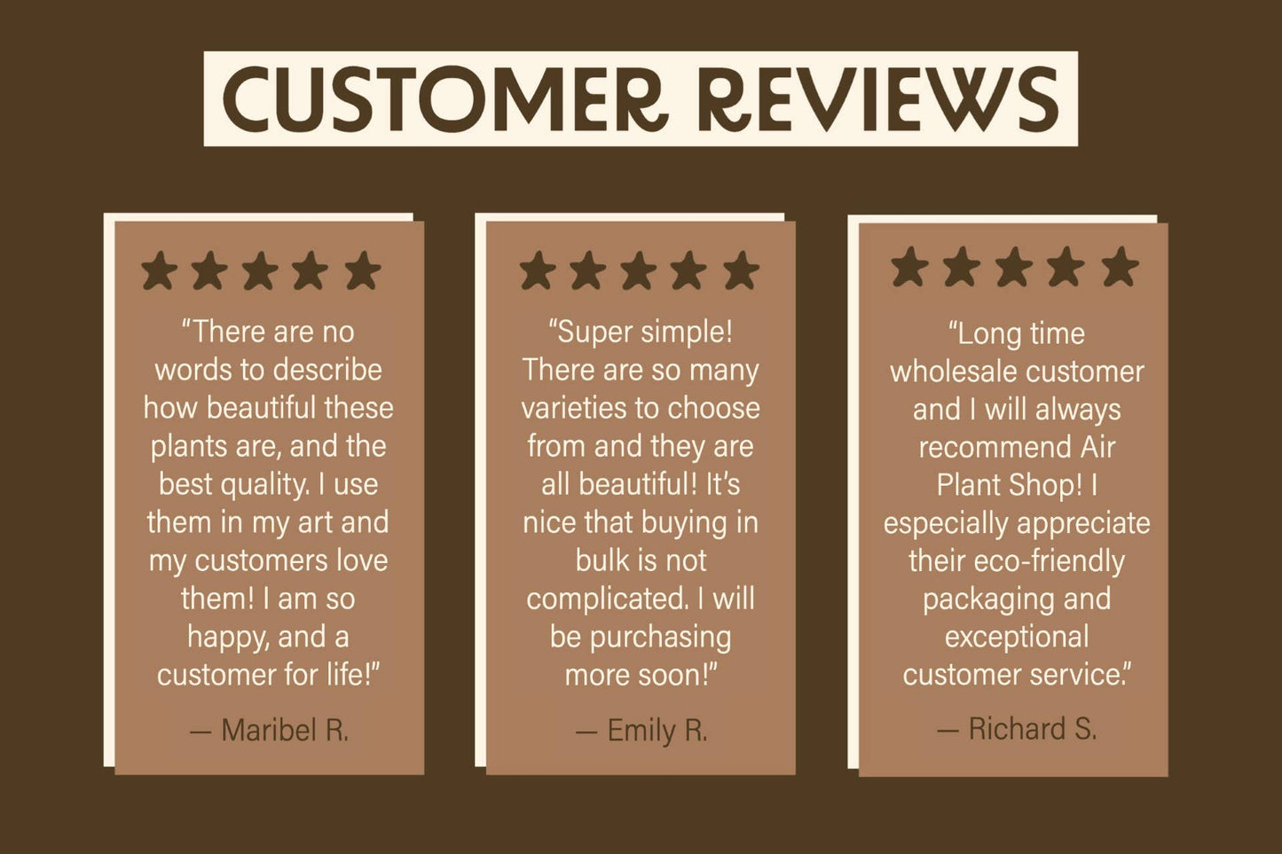 Mini Hanging Glass Globe Terrariums with Air Plant