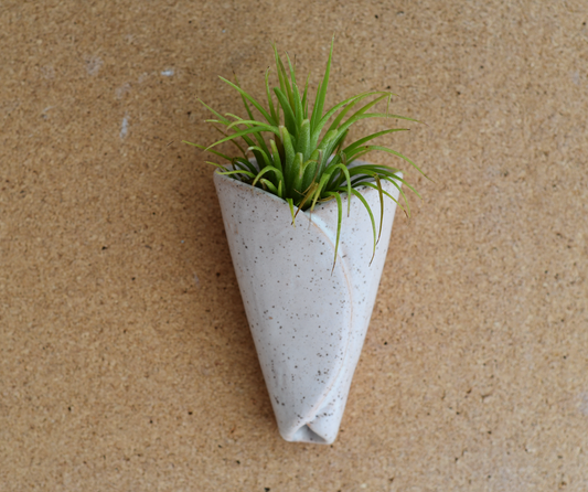 Air Plant Pottery - CONE