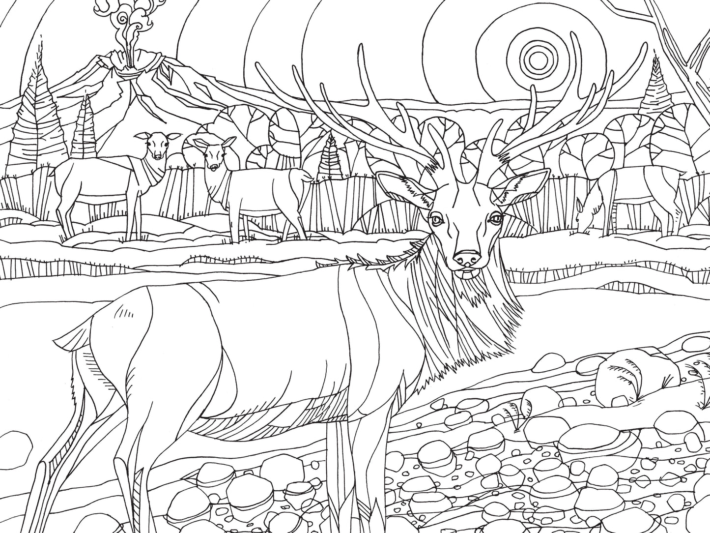 Pacific Northwest Nature