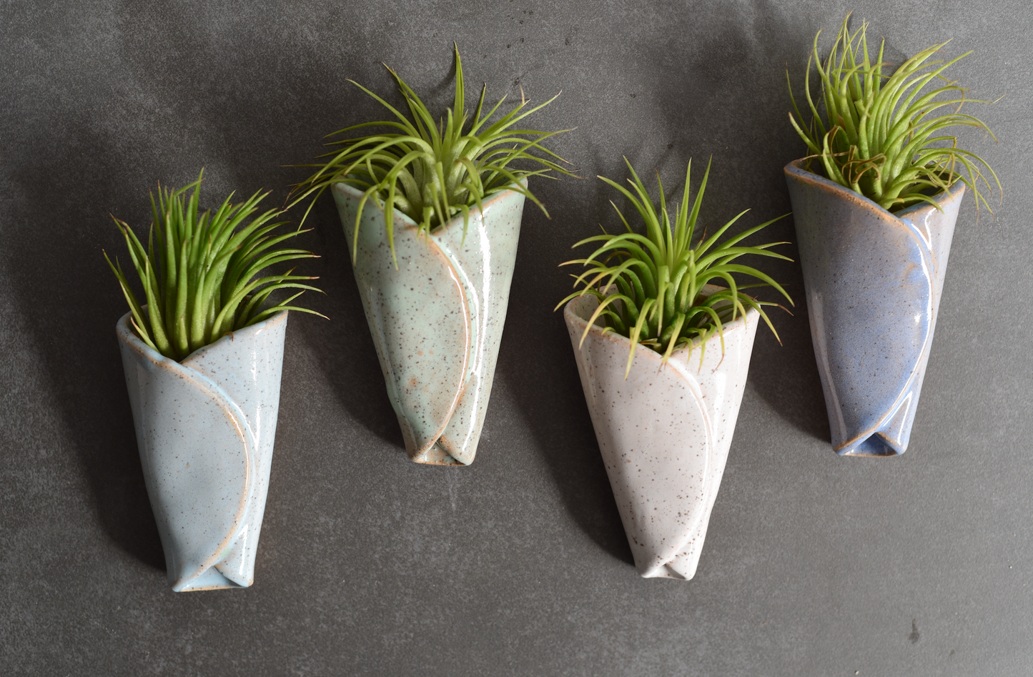 Air Plant Pottery - CONE