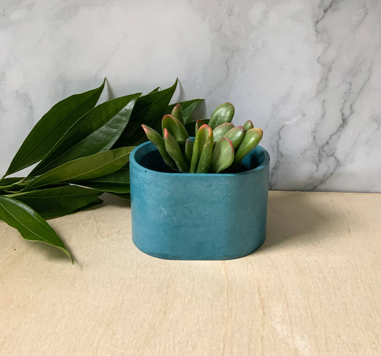Succulent Oval Concrete Planter