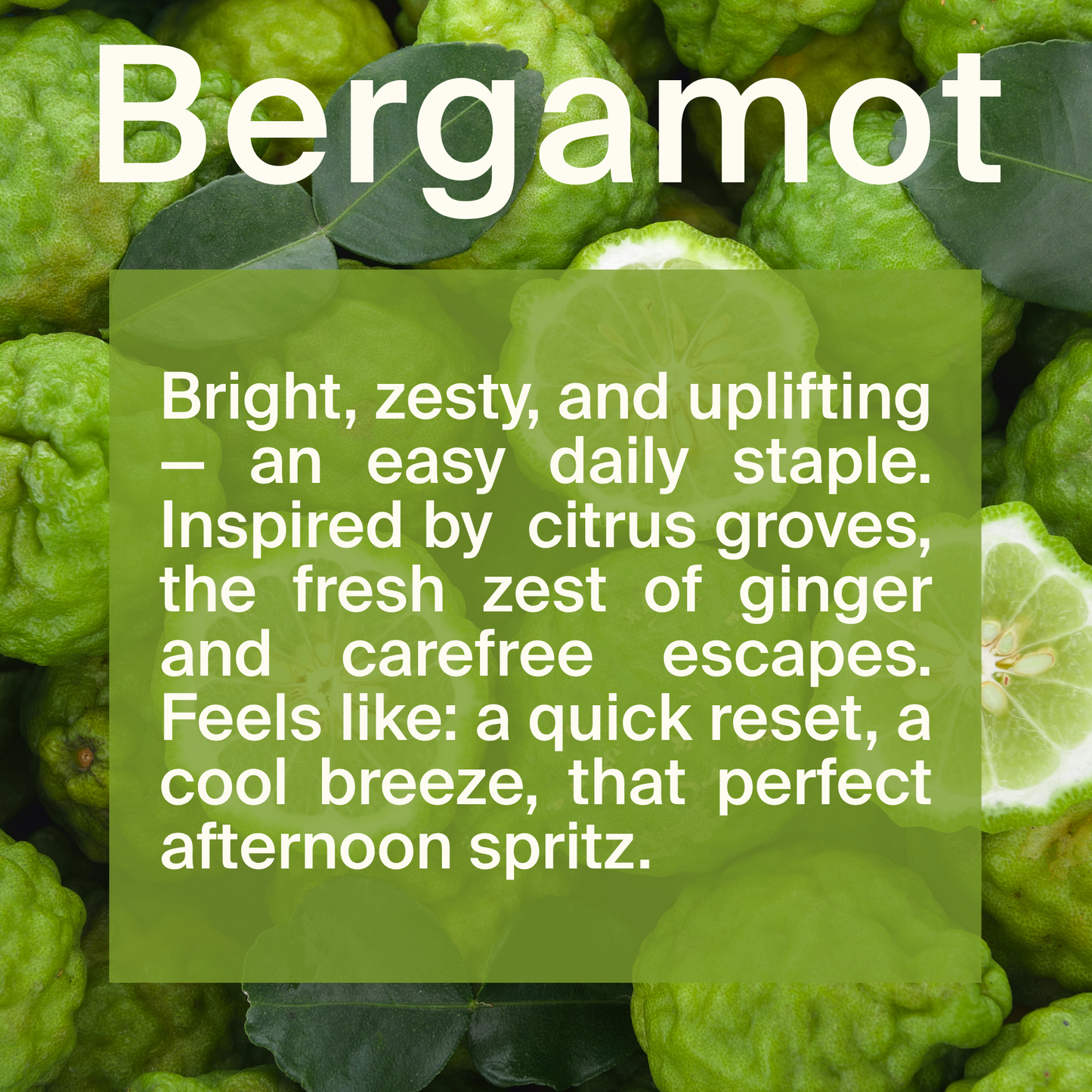 Bergamot Body Oil | Organic Ingredients | Colorful Packaging