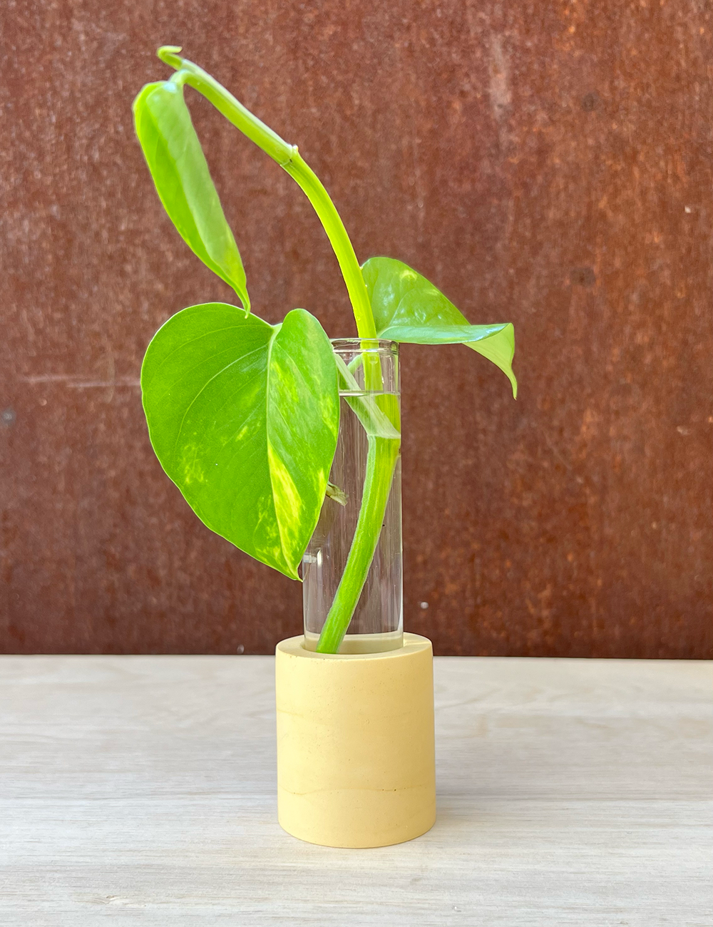 Earth Tone Cylinder Propagation Station