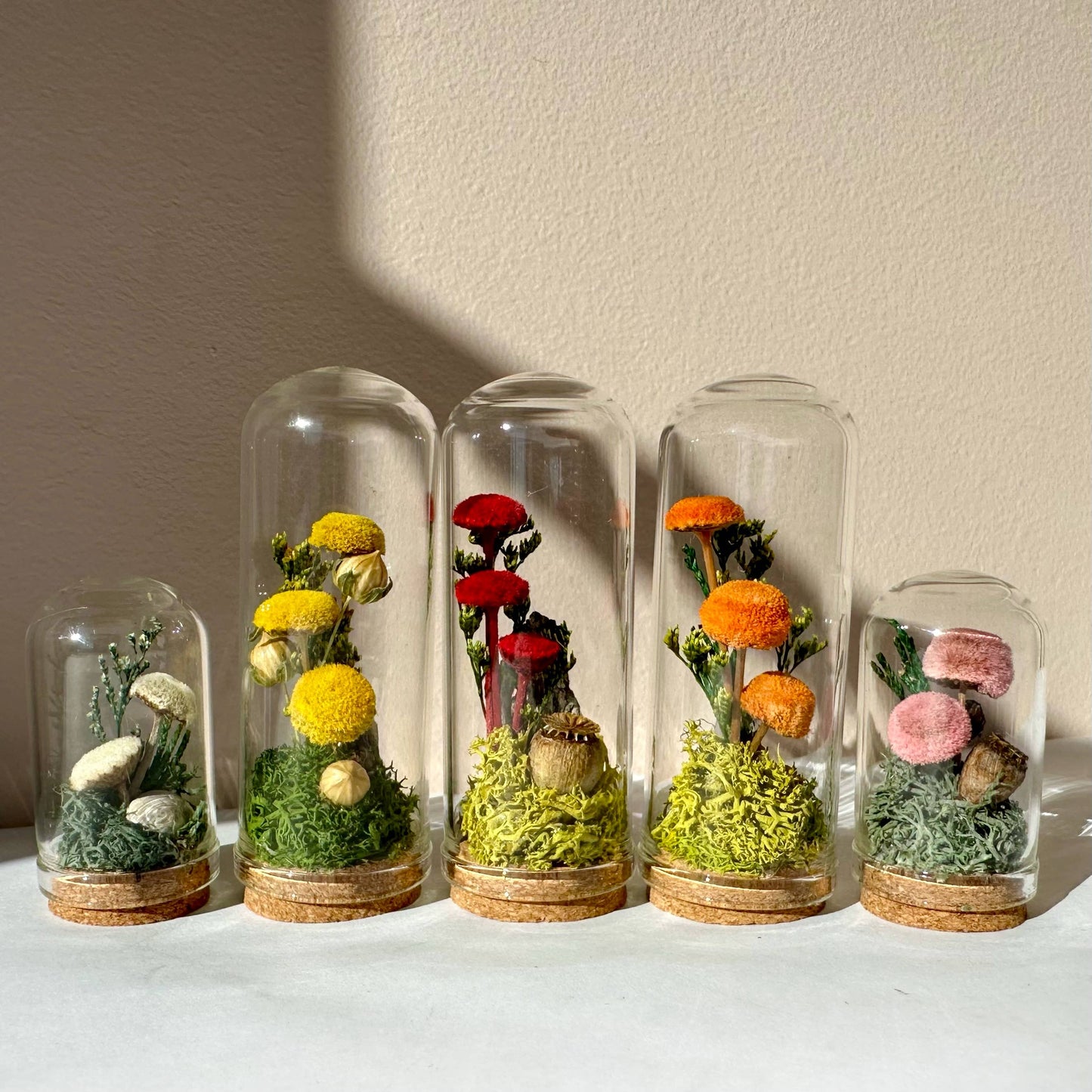 Mushroom Mix Terrarium Glass Cloche Cork Jar & Florals
