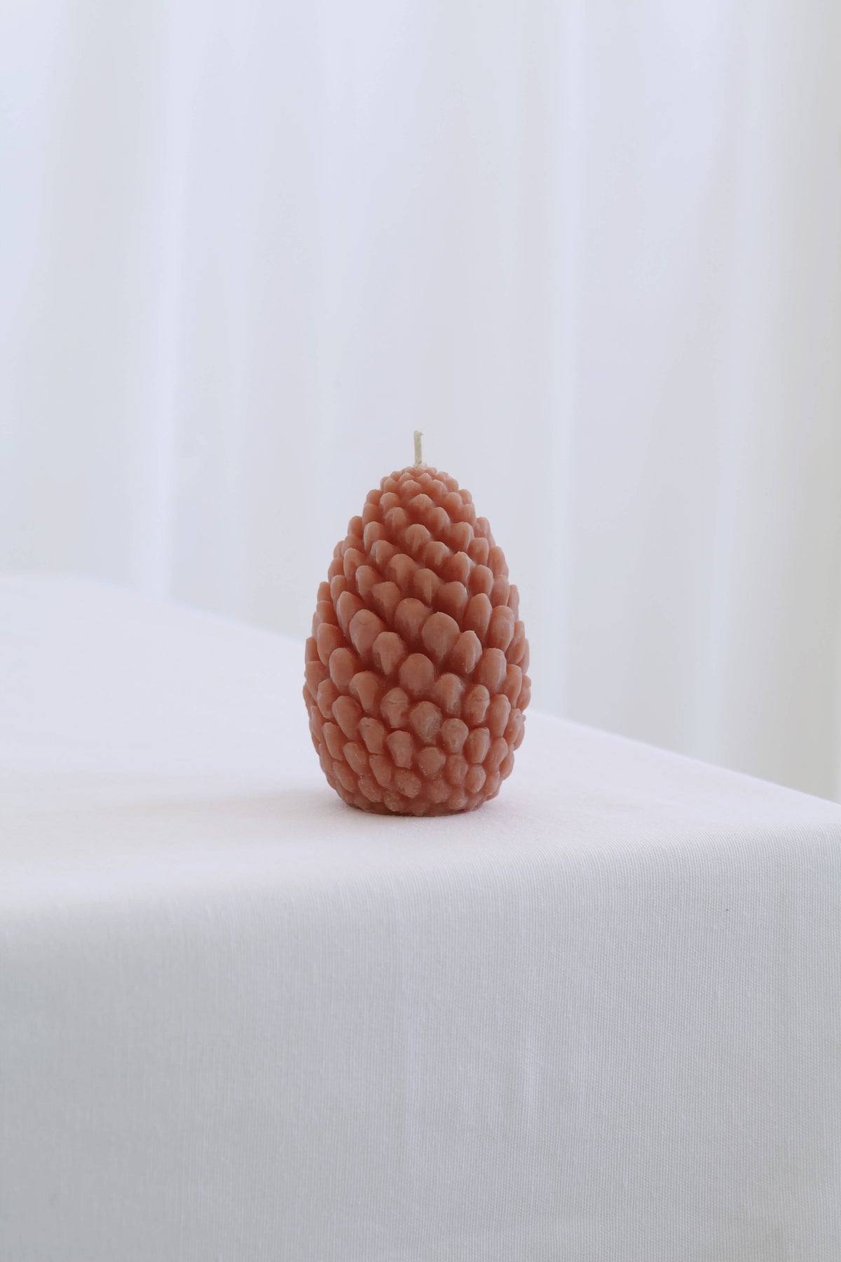 Mo&Co Home Exclusive: Sculpted Beeswax Pine Cones | 2 Sizes