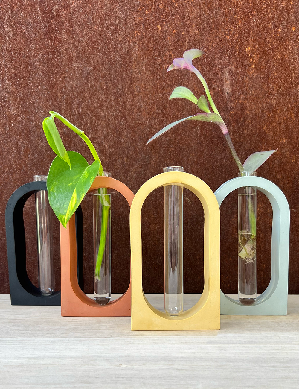 Earth Tone Arch Propagation Station