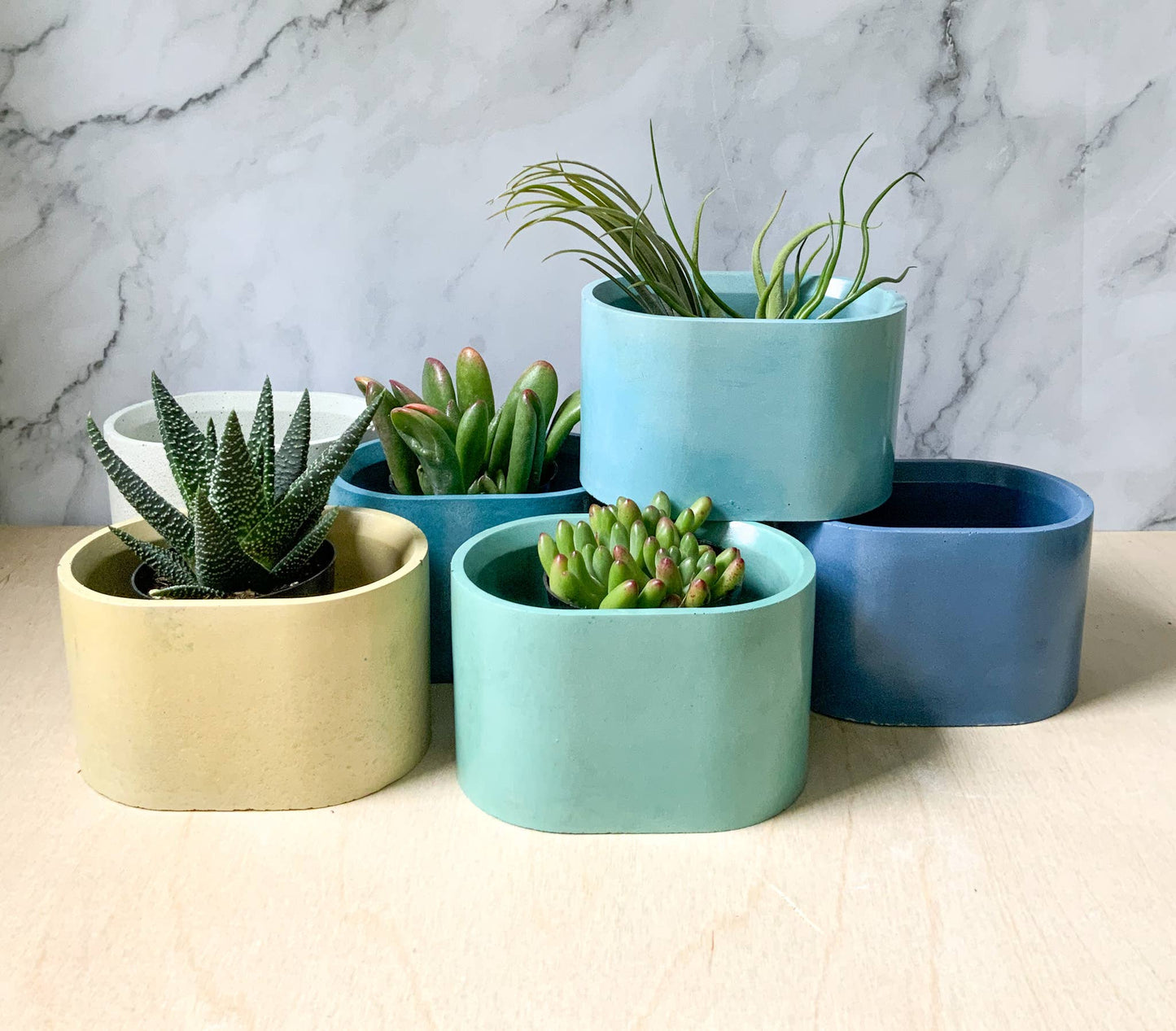 Succulent Oval Concrete Planter