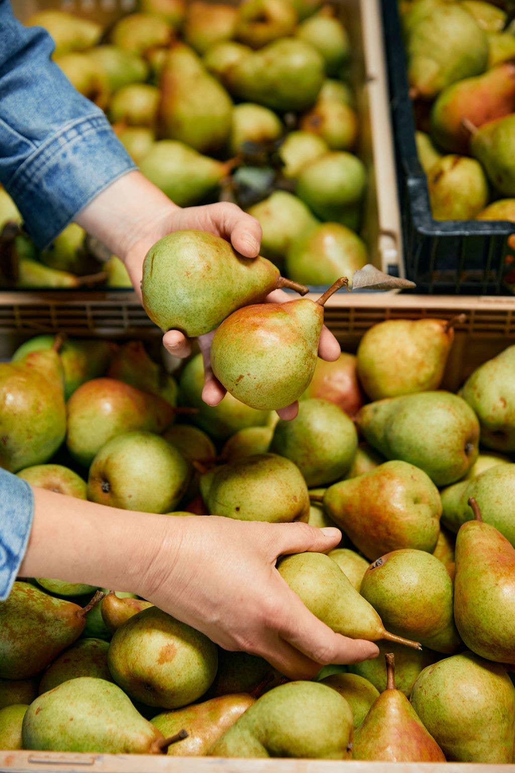 Orange Peppered Pear Spoon Preserves 7.75oz
