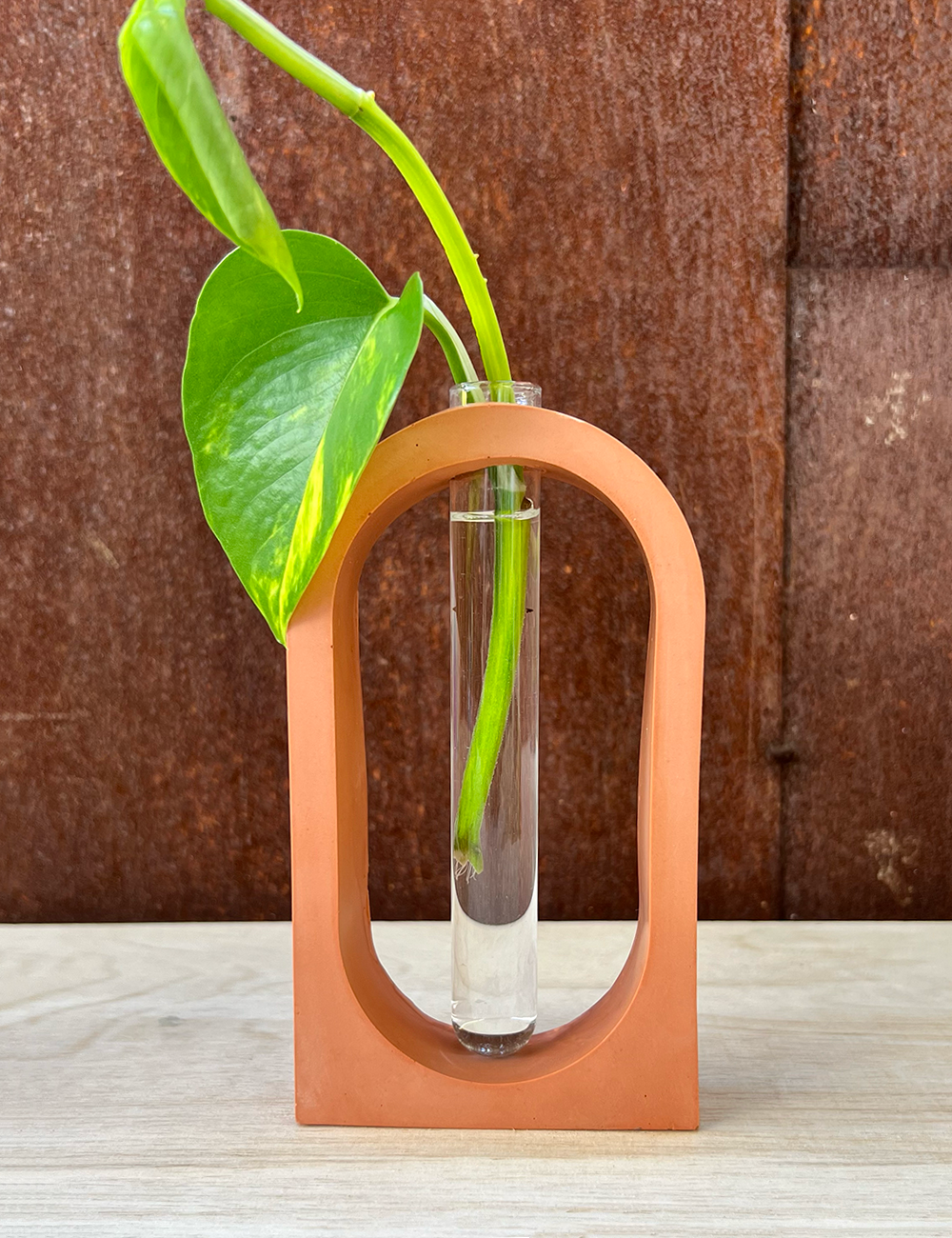 Earth Tone Arch Propagation Station