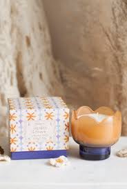 Paddywax - Garden Grove Tulip Candle