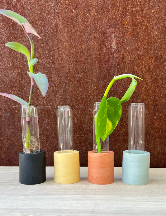 Earth Tone Cylinder Propagation Station