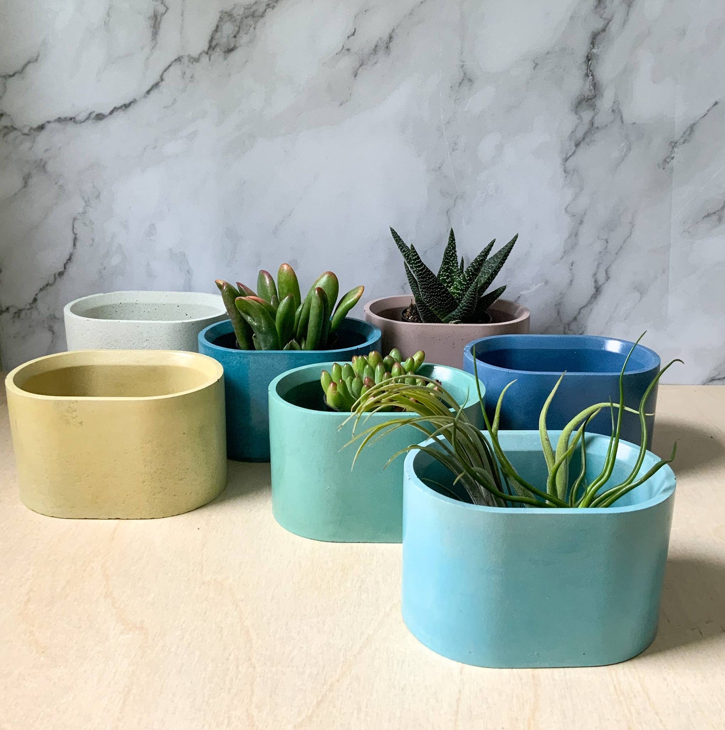 Succulent Oval Concrete Planter