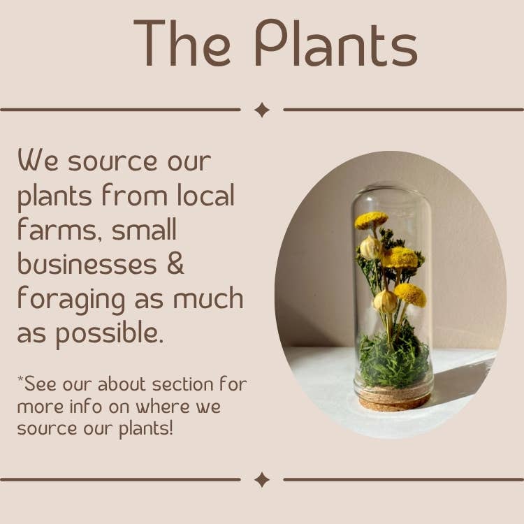 Mushroom Mix Terrarium Glass Cloche Cork Jar & Florals