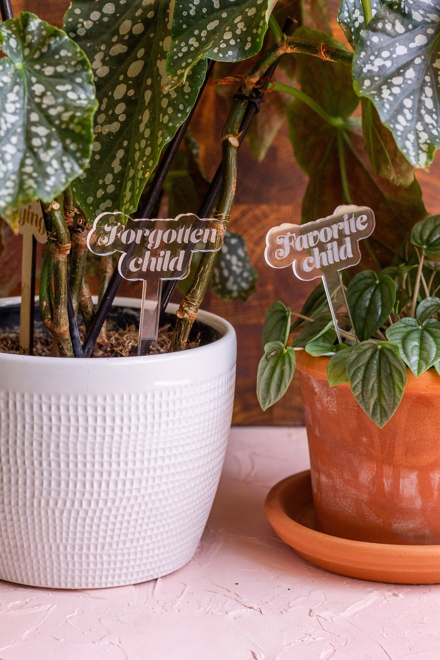 Funny Acrylic Plant Markers