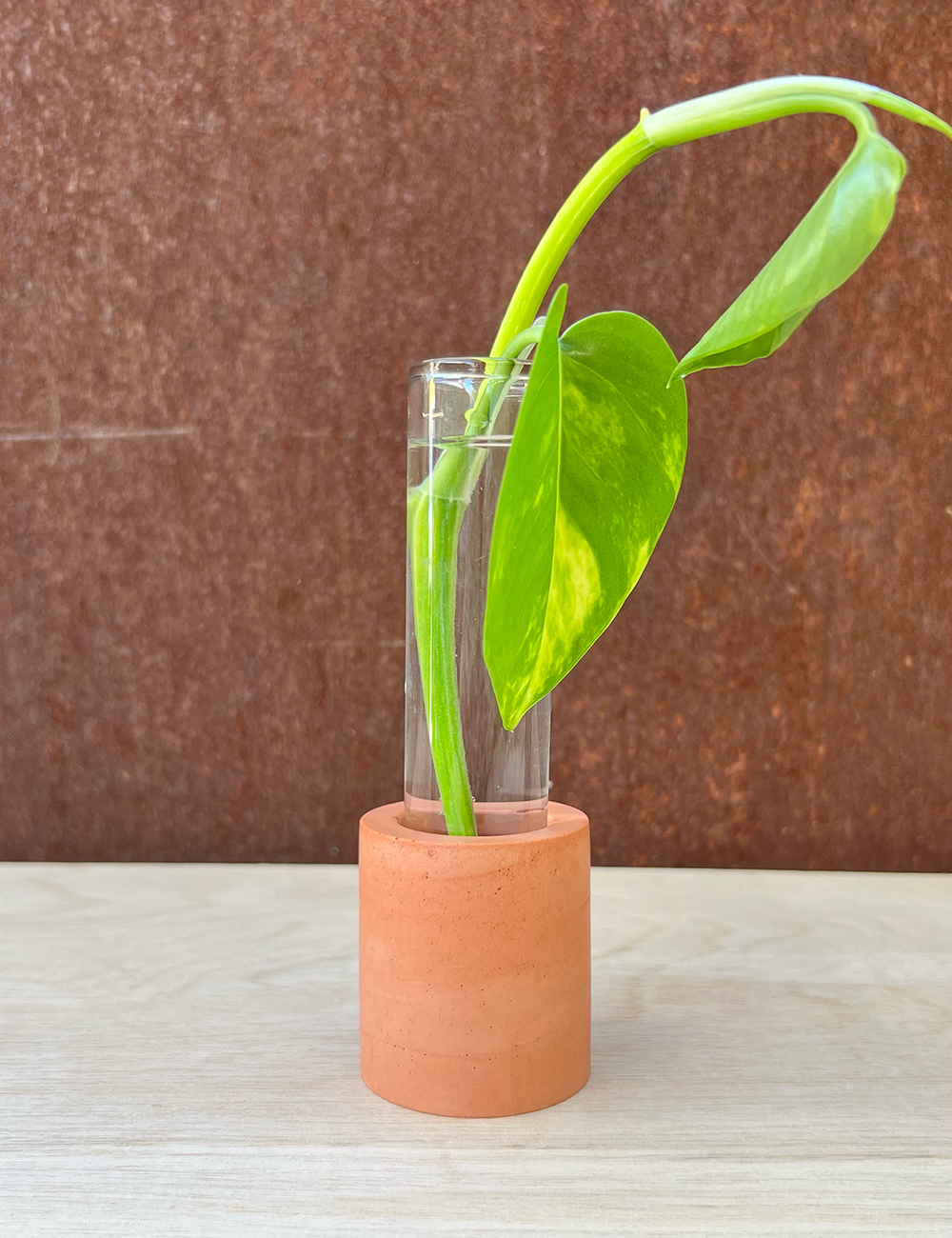 Earth Tone Cylinder Propagation Station