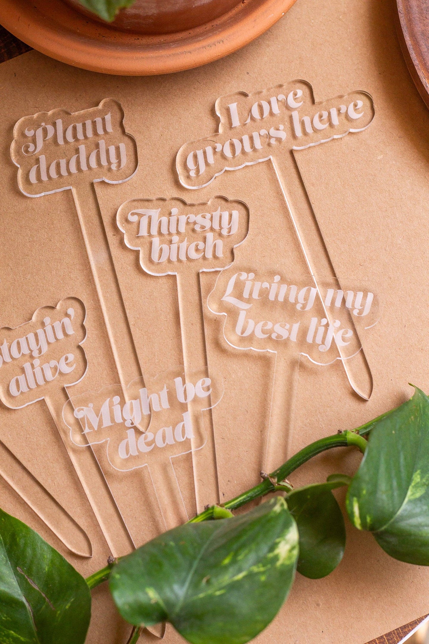 Funny Acrylic Plant Markers
