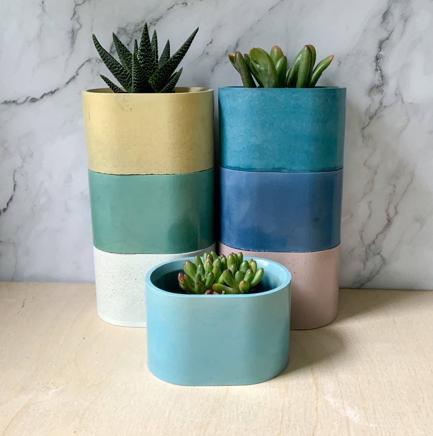 Succulent Oval Concrete Planter
